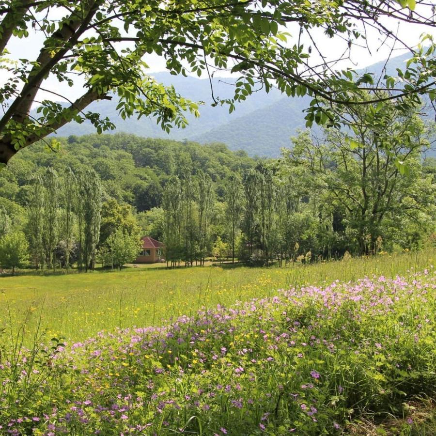 Grand Village Исмаили Екстериор снимка